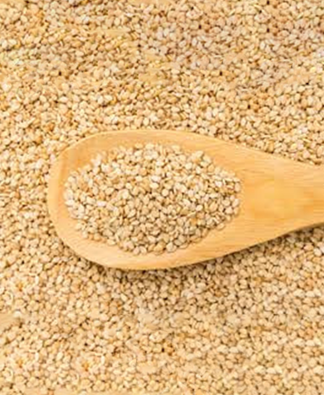 Sesame Seeds